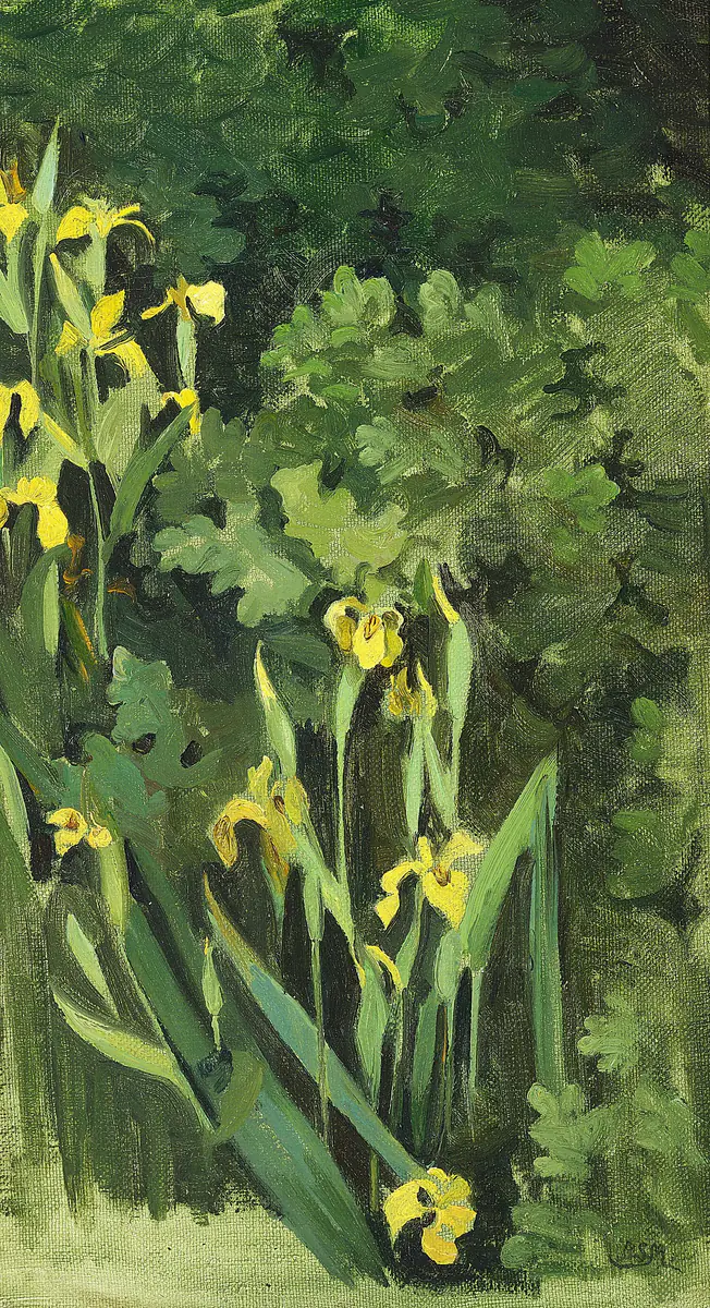 Iris jaune. - Agnes Slott-Møller