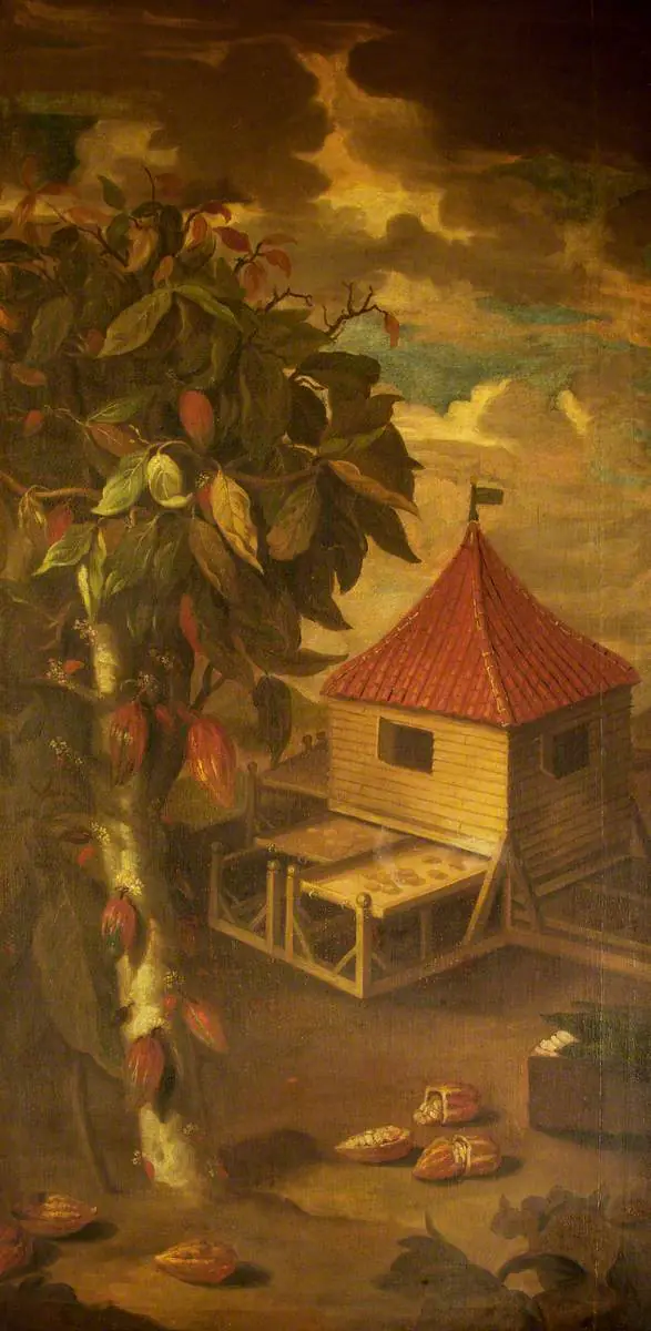 Un cacaoyer et une cabane à torréfier - Albert Eckhout