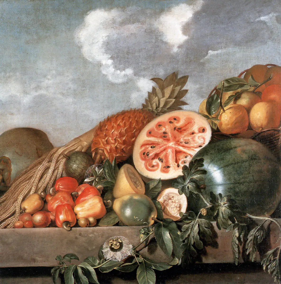 Fruits brésiliens - Albert Eckhout
