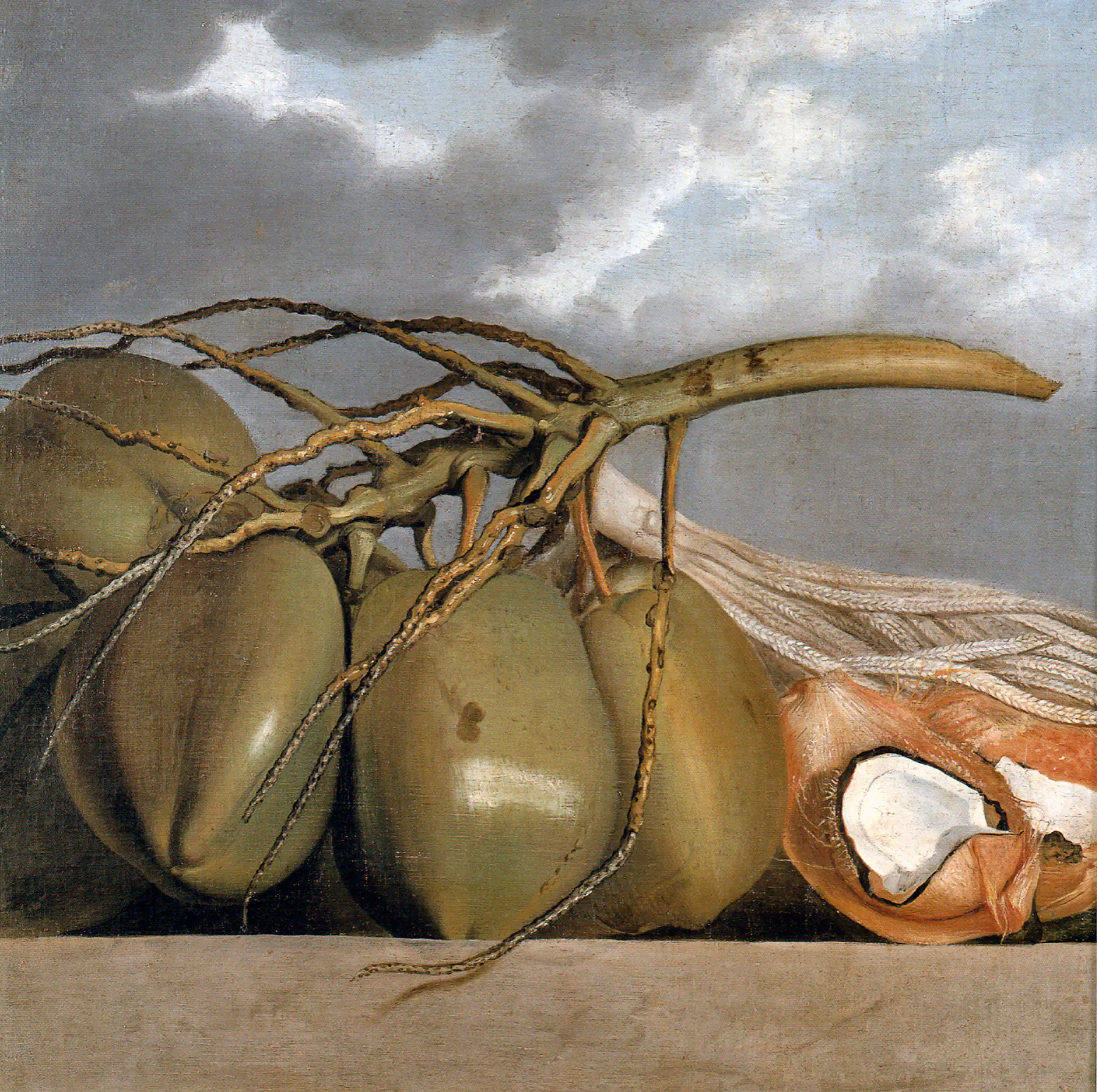 Noix de coco - Albert Eckhout