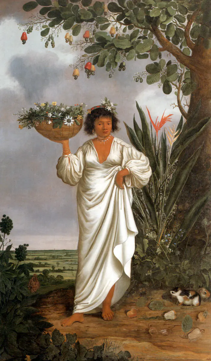 Portrait d'une femme Mamelouca - Albert Eckhout