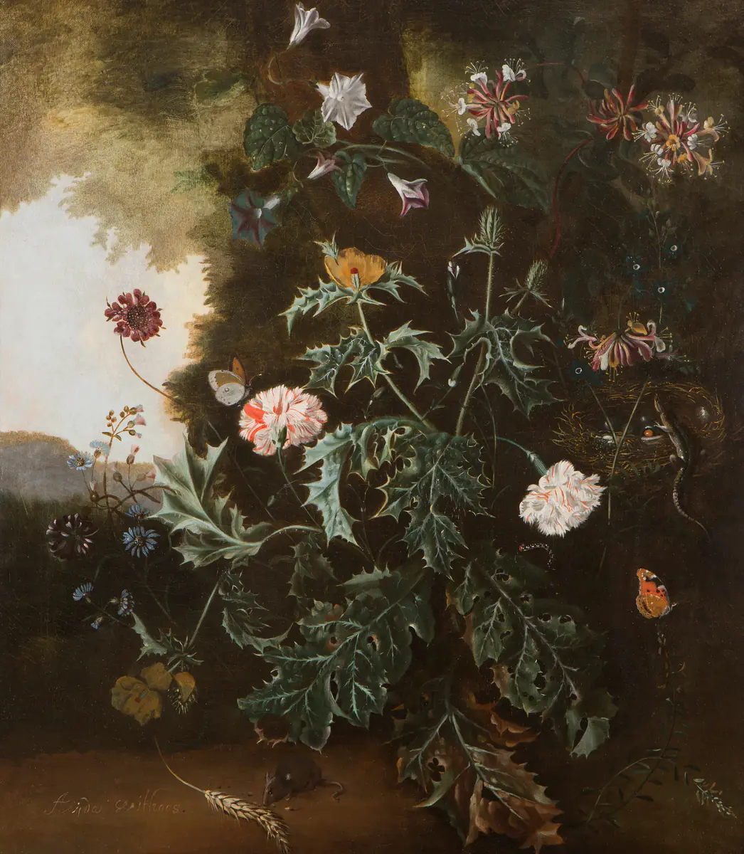 Nature morte de sous-bois - Alida Withoos