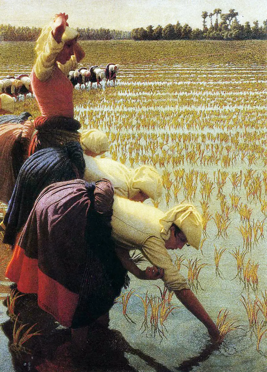 Dans la rizière - Angelo Morbelli