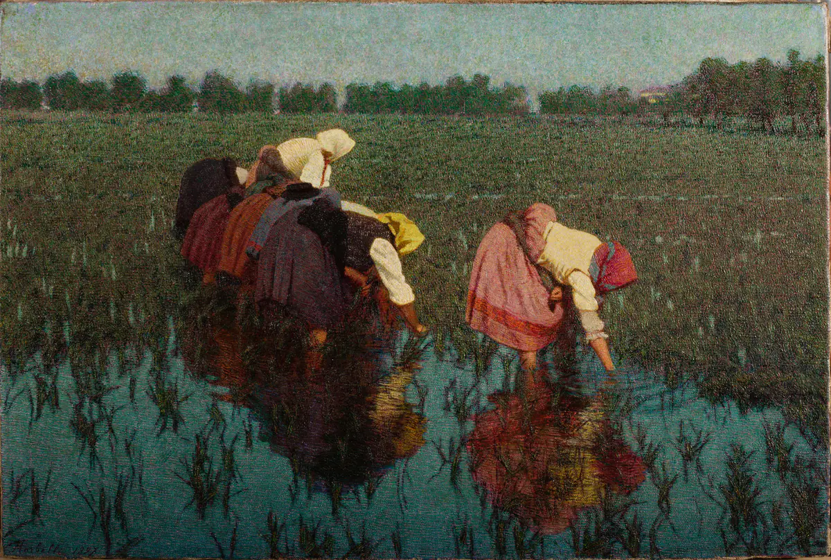 Les Désherbeuses de riz - Angelo Morbelli