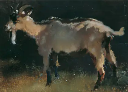 Chèvre - Anton Schrödl