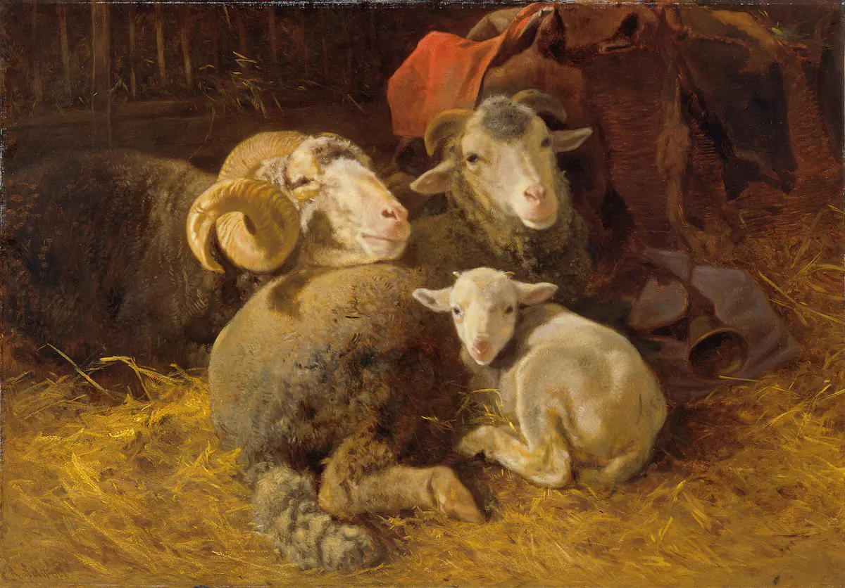 Moutons dans l'étable - Anton Schrödl