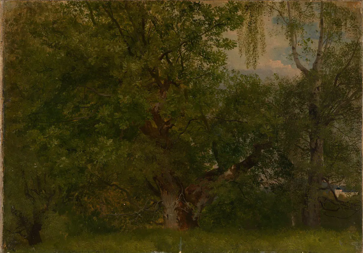 Bois près d'Ulefoss - August Cappelen