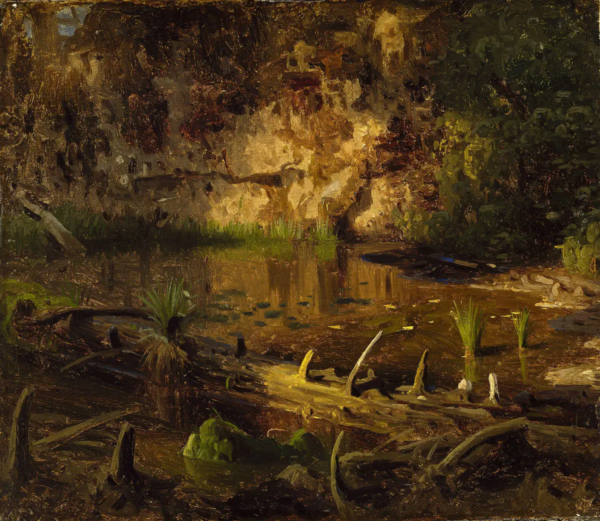 Étude d'un arbre tombé - August Cappelen