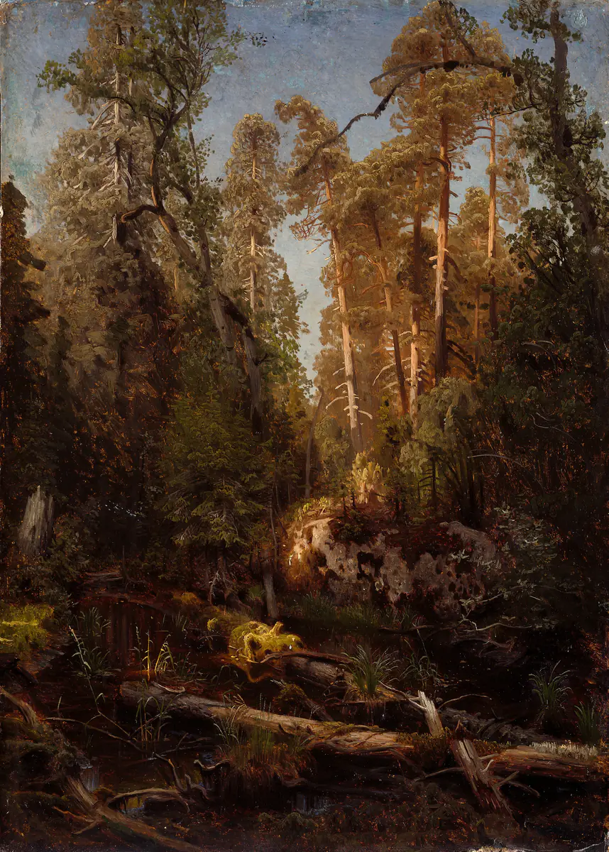 Étude forestière - August Cappelen