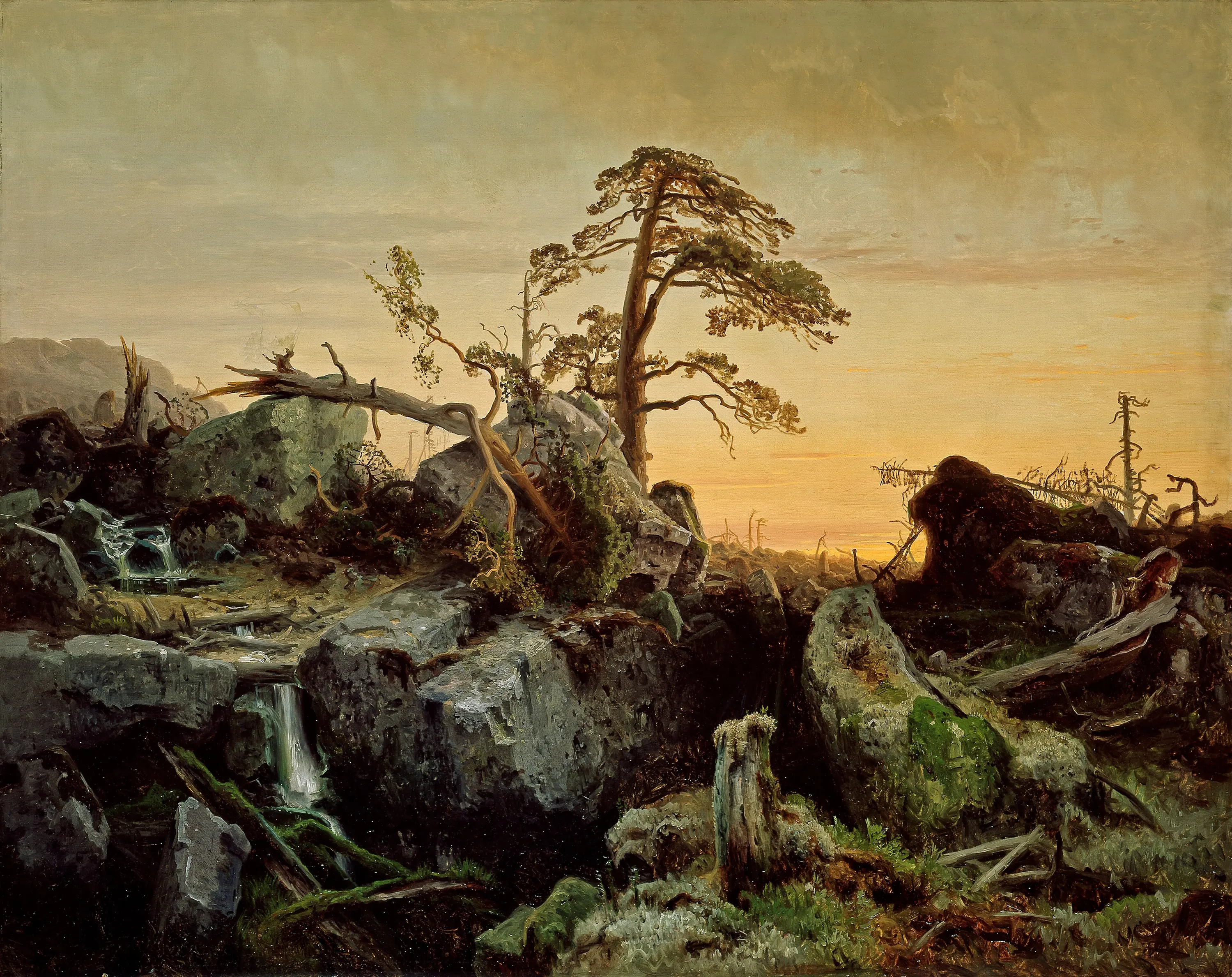 Forêt en décomposition - August Cappelen