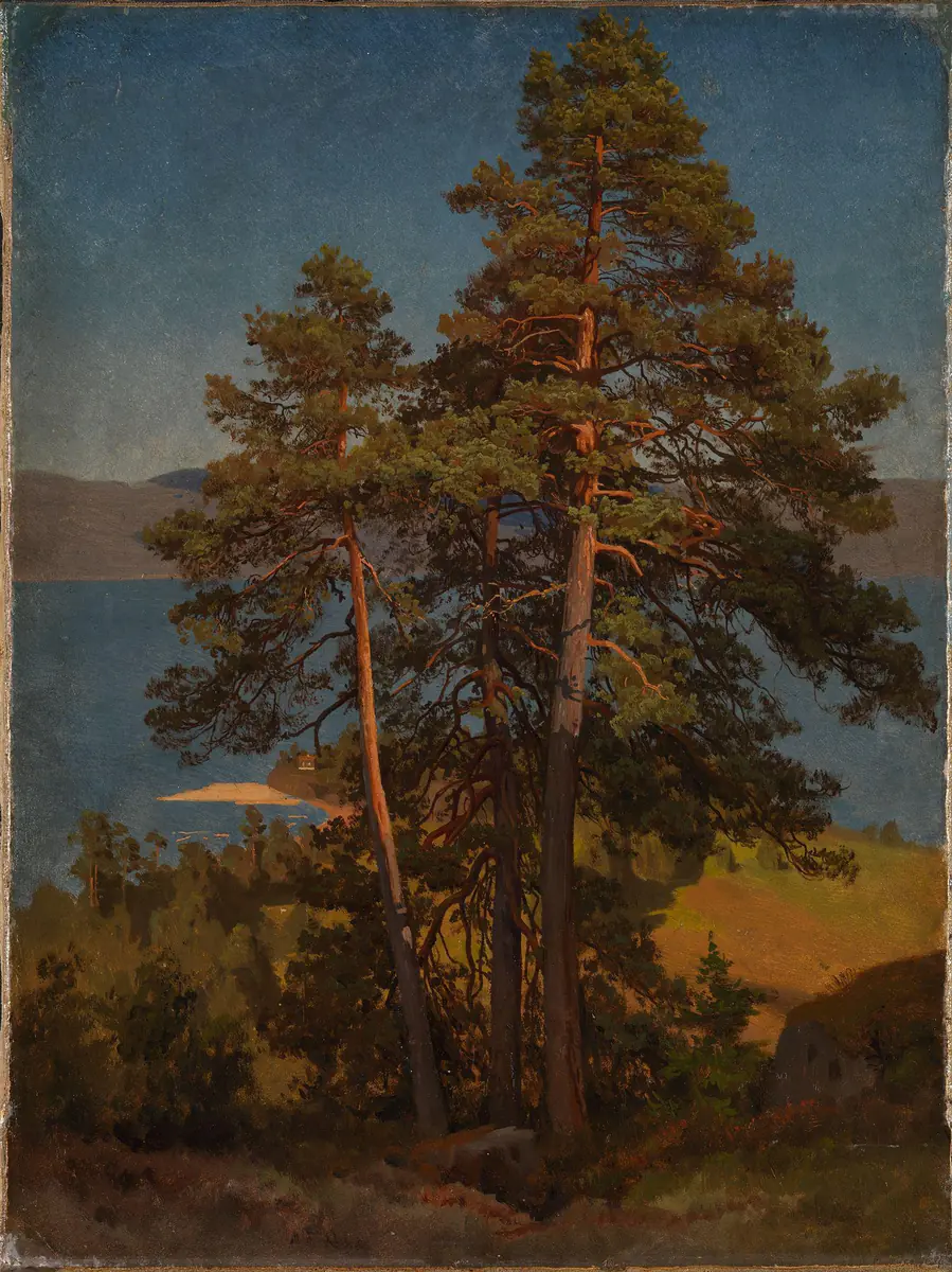 Pins - August Cappelen
