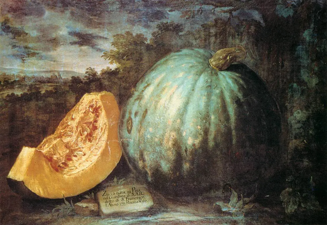 La citrouille - Bartolomeo Bimbi