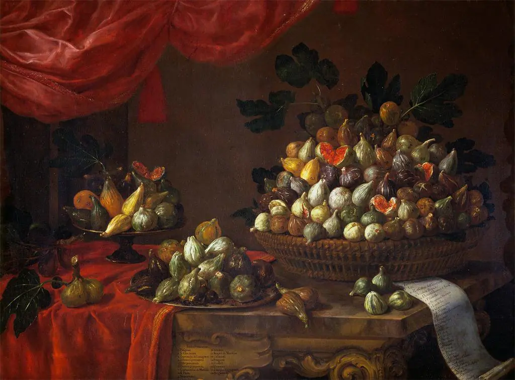 Figues - Bartolomeo Bimbi