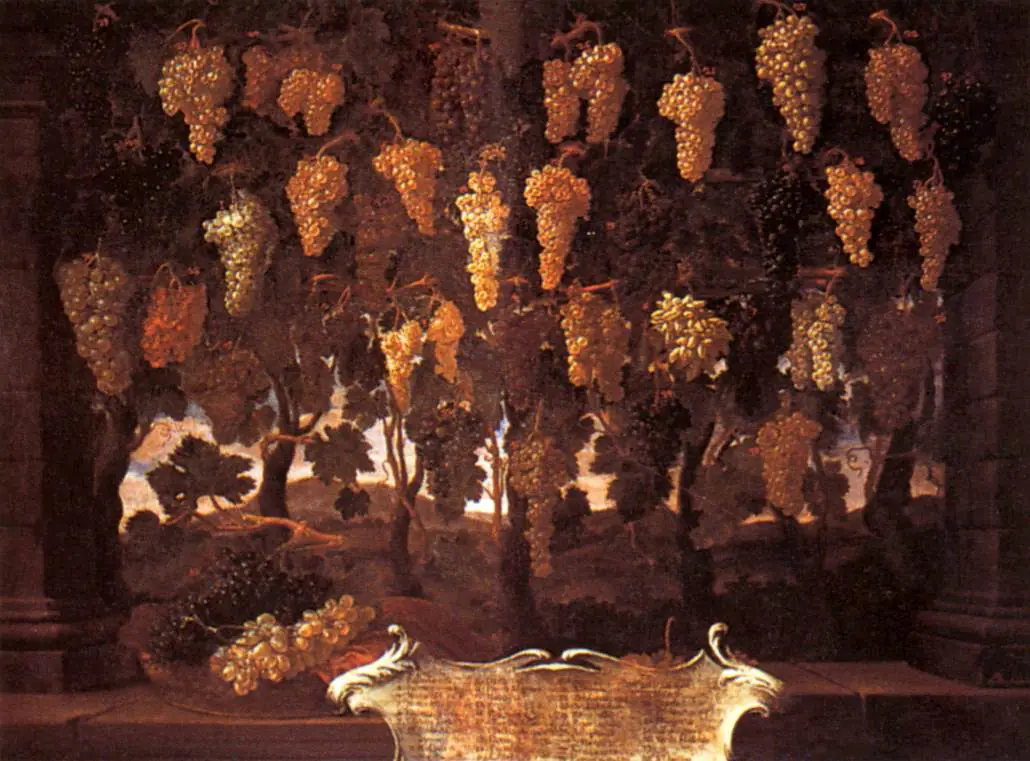 Raisin - Bartolomeo Bimbi