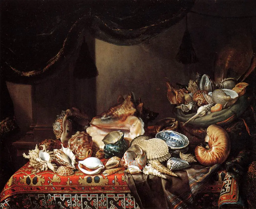 Shell - Bartolomeo Bimbi