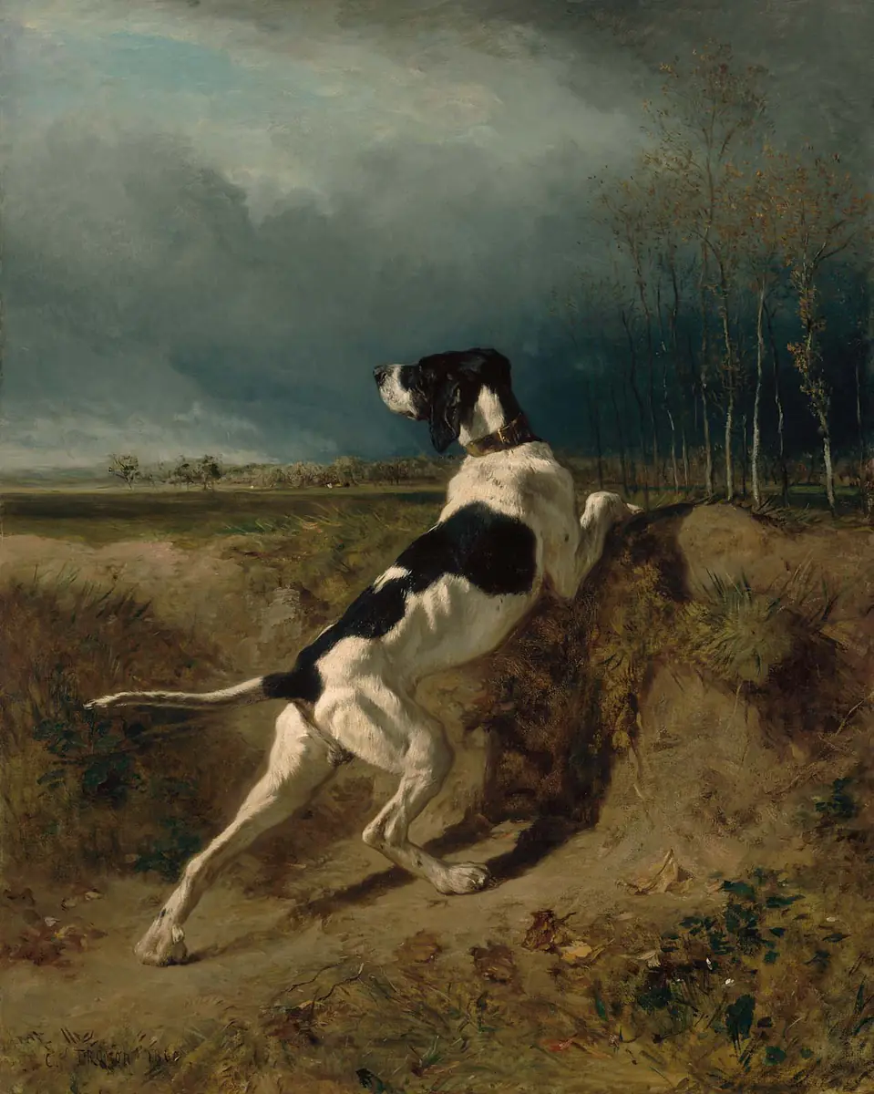 Chien à l’arrêt - Constant Troyon
