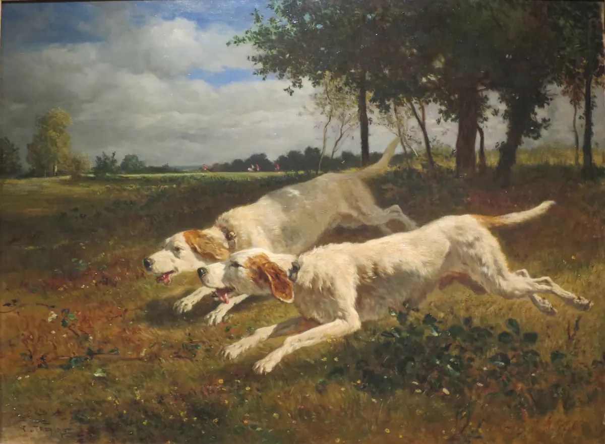 Chiens courant - Constant Troyon