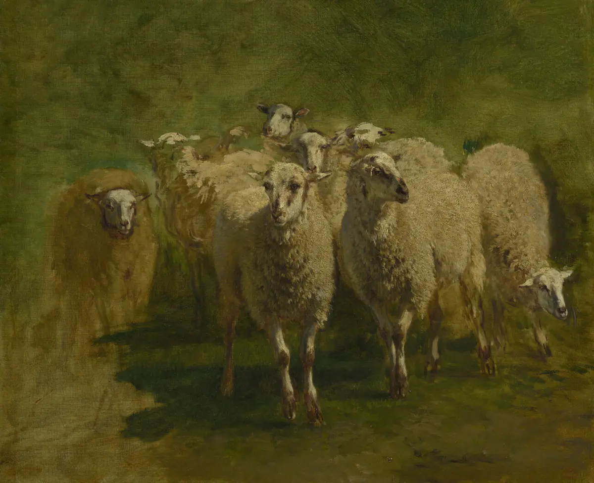 Moutons de face — collection Mesdag - Constant Troyon