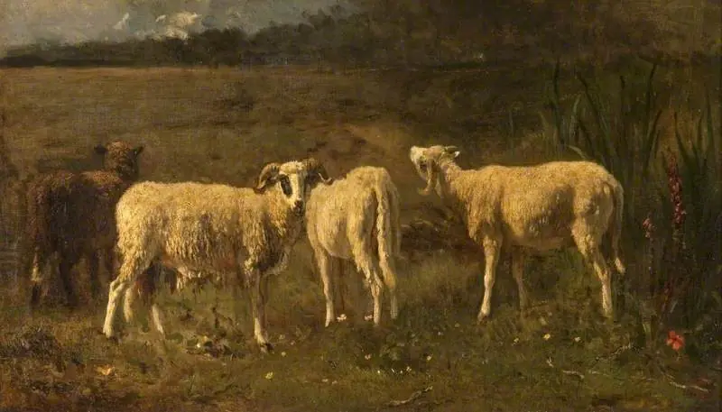 Moutons — Glasgow - Constant Troyon