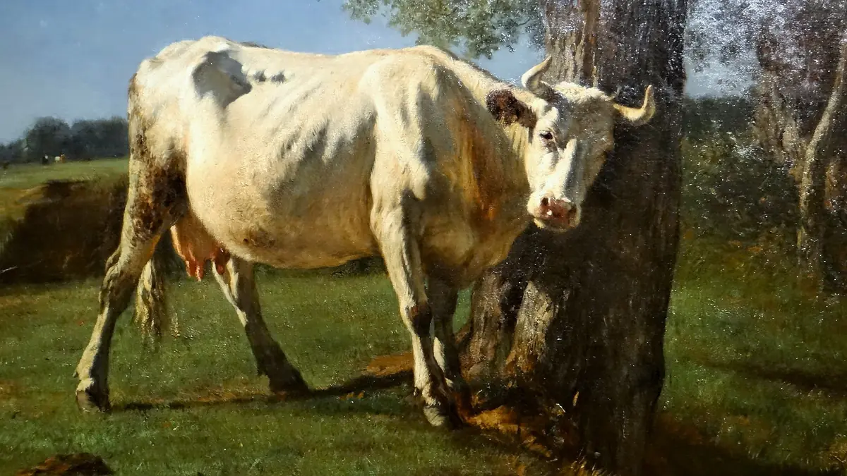 Vache qui se gratte - Constant Troyon