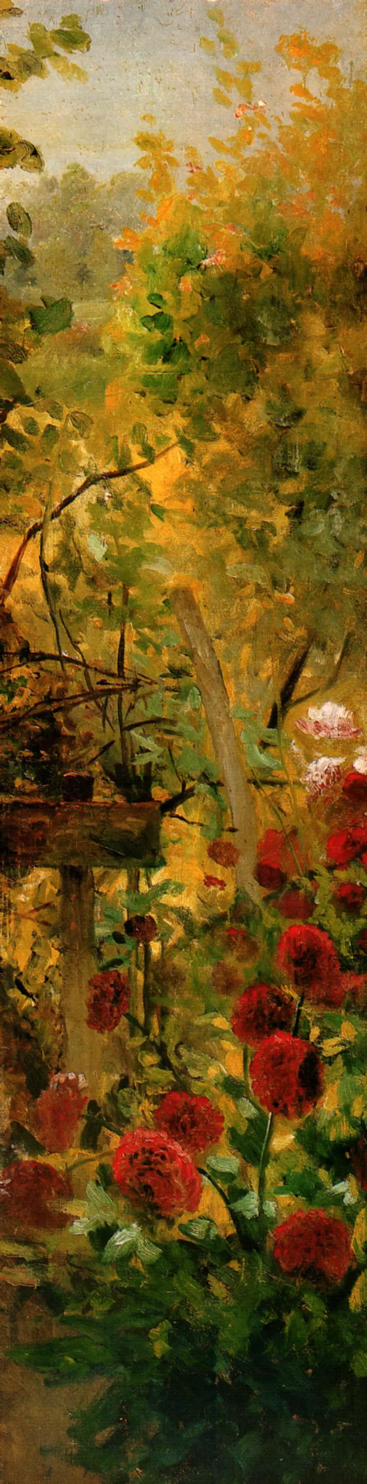 Fleurs pointues. - Cristóbal Rojas