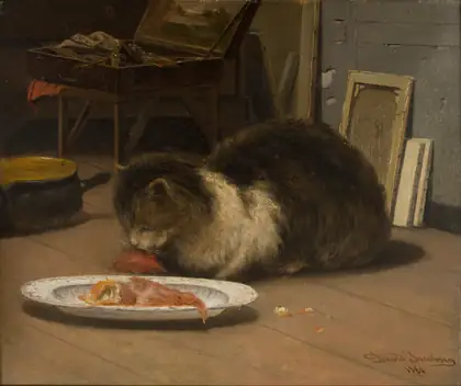 Le chat en studio - David Jacobsen