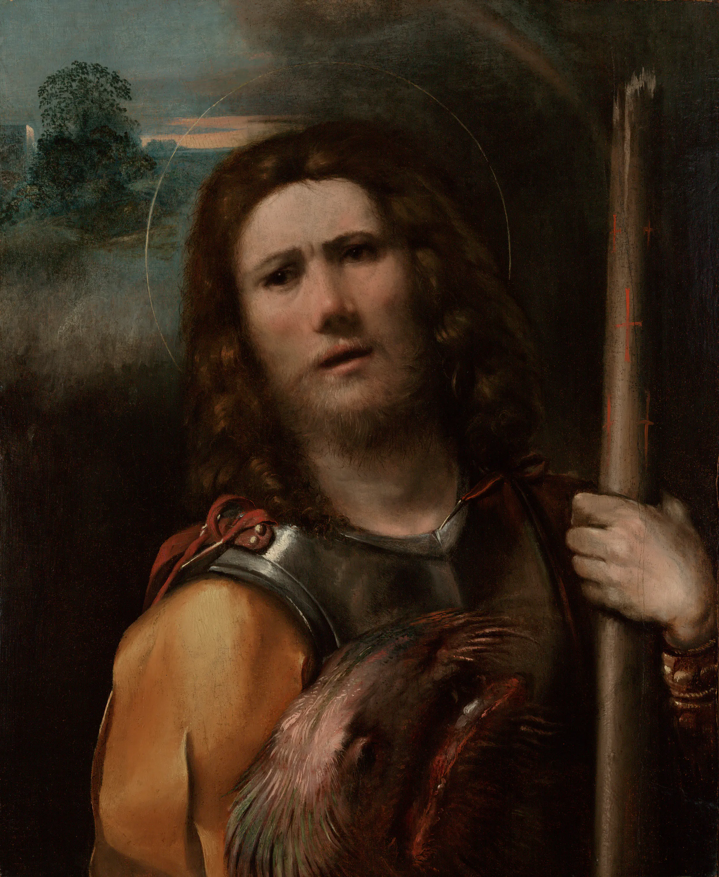 Saint Georges - Dosso Dossi