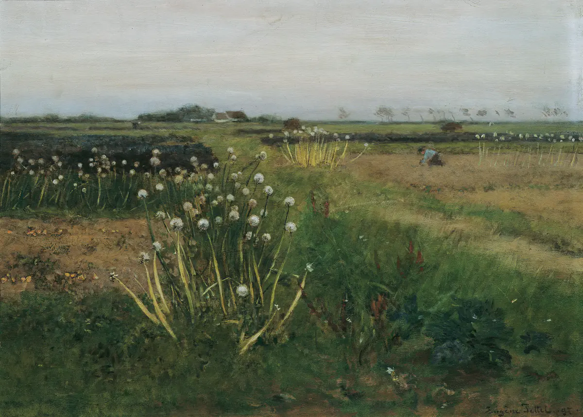 Champ d'oignons en fleurs - Eugen Jettel