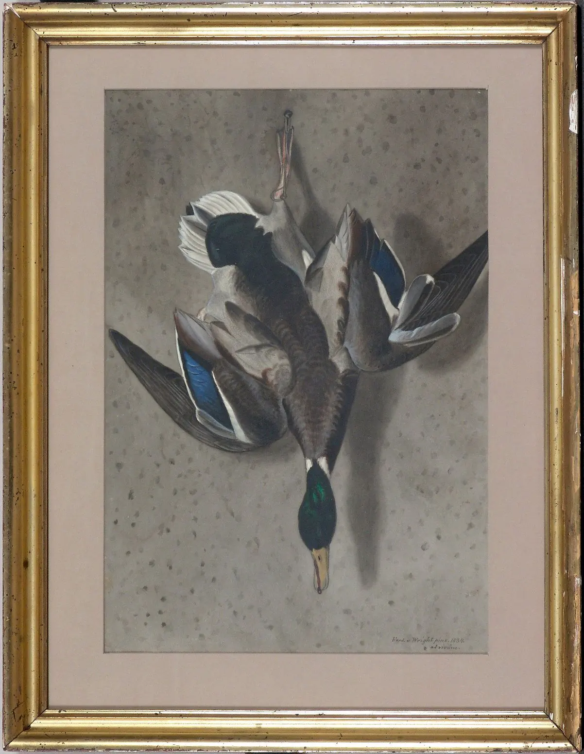 Le canard suspendu - Ferdinand von Wright