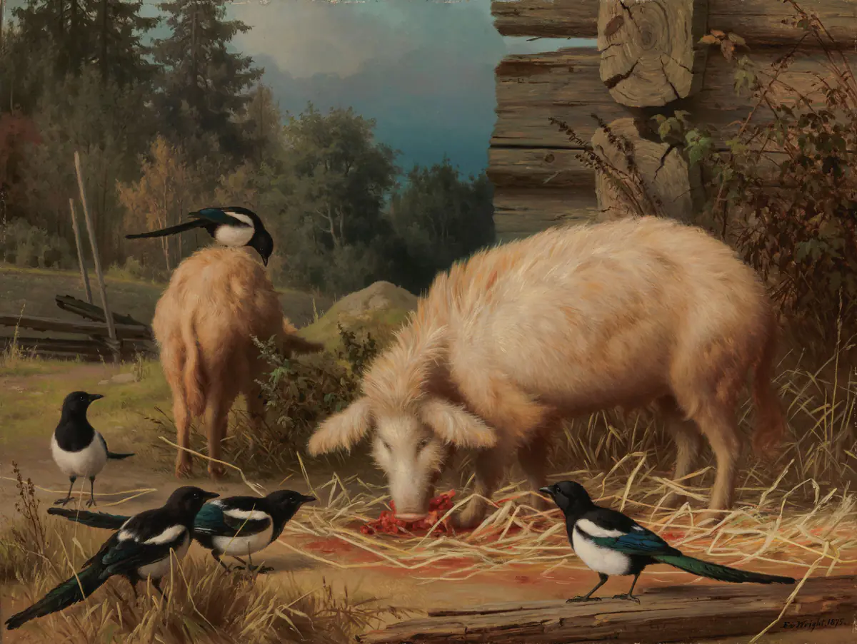 Cochons et pies - Ferdinand von Wright