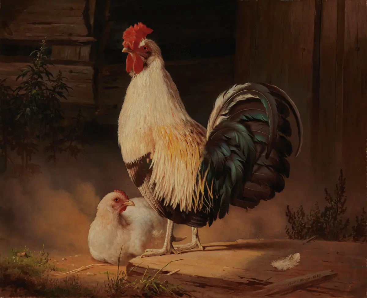 Coq et poule - Ferdinand von Wright