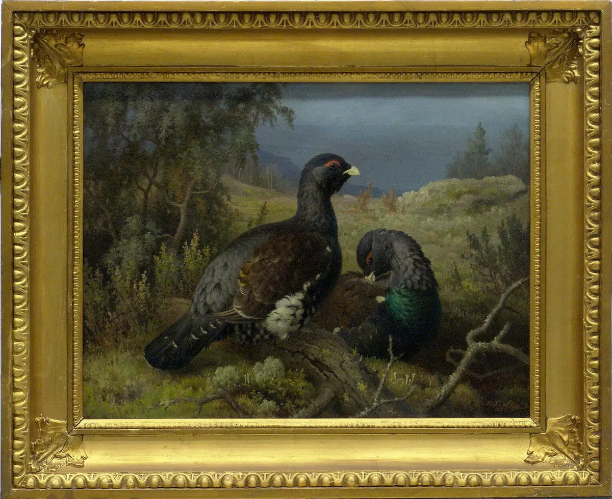 Coqs de grand tétras - Ferdinand von Wright