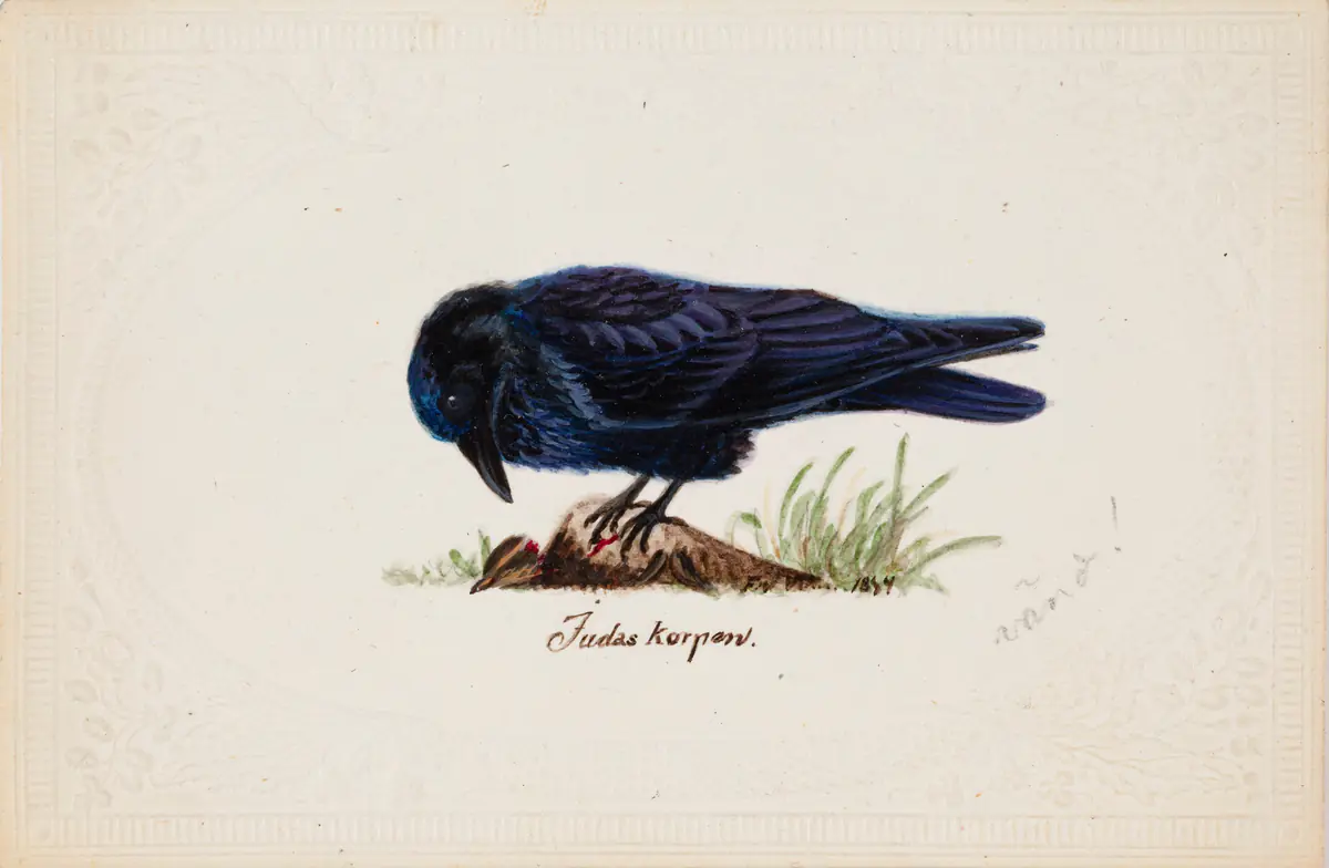 Corbeau apprivoisé "Judas - Ferdinand von Wright