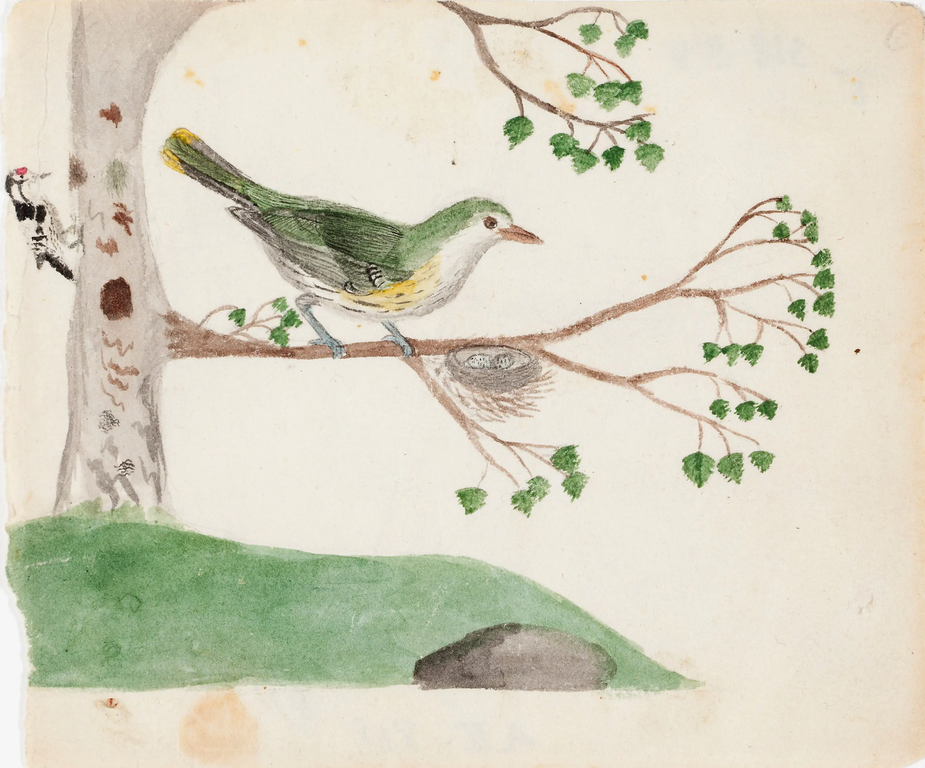 Deux oiseaux - Ferdinand von Wright