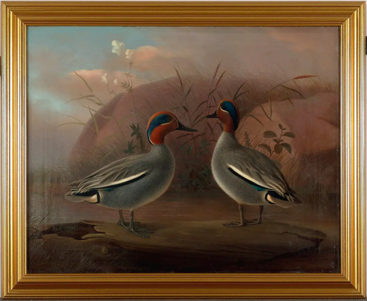 Deux sarcelles mâles au bord de l'eau - Ferdinand von Wright