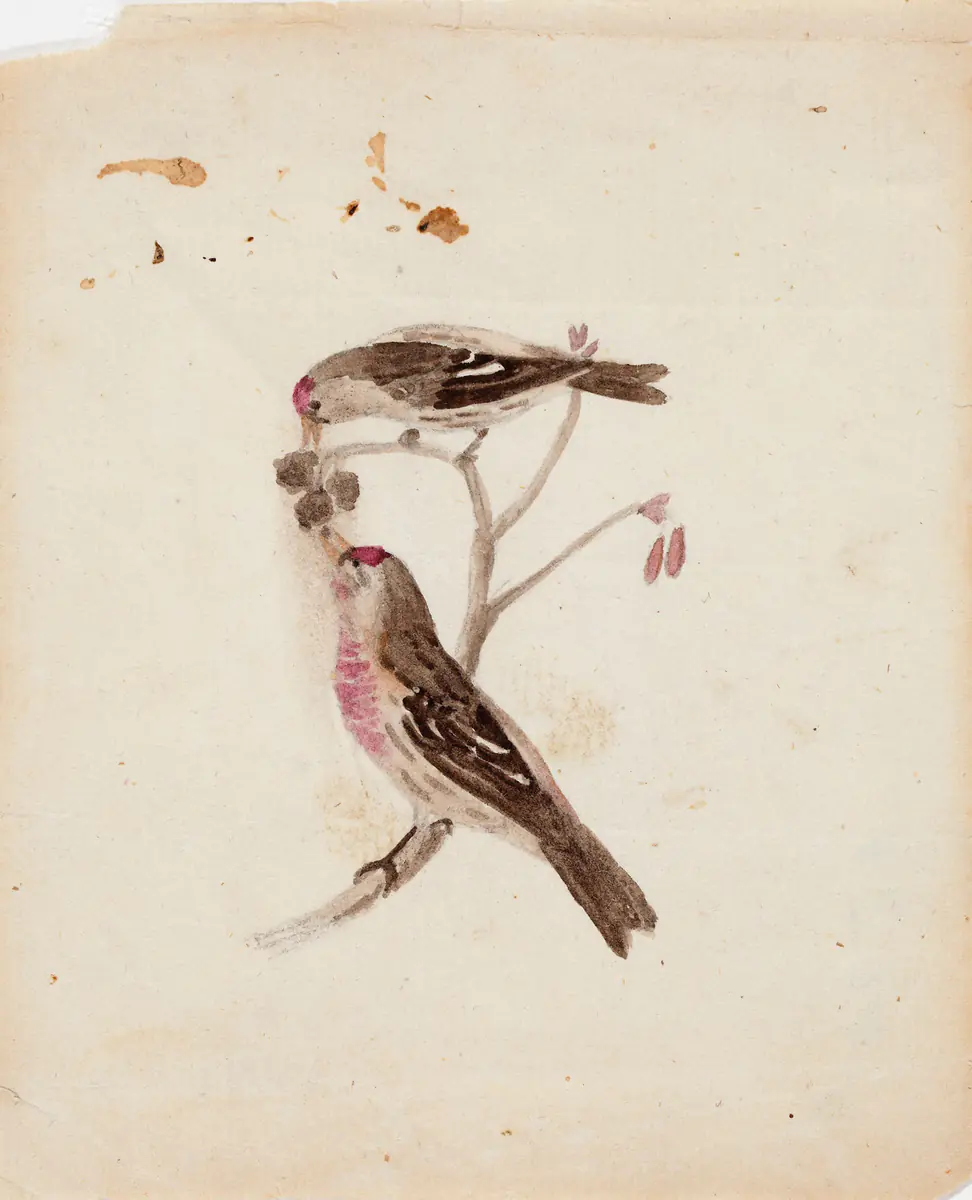 Deux tailleurs flammés - Ferdinand von Wright