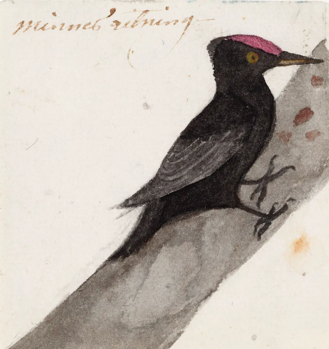 Le grand pic noir - Ferdinand von Wright