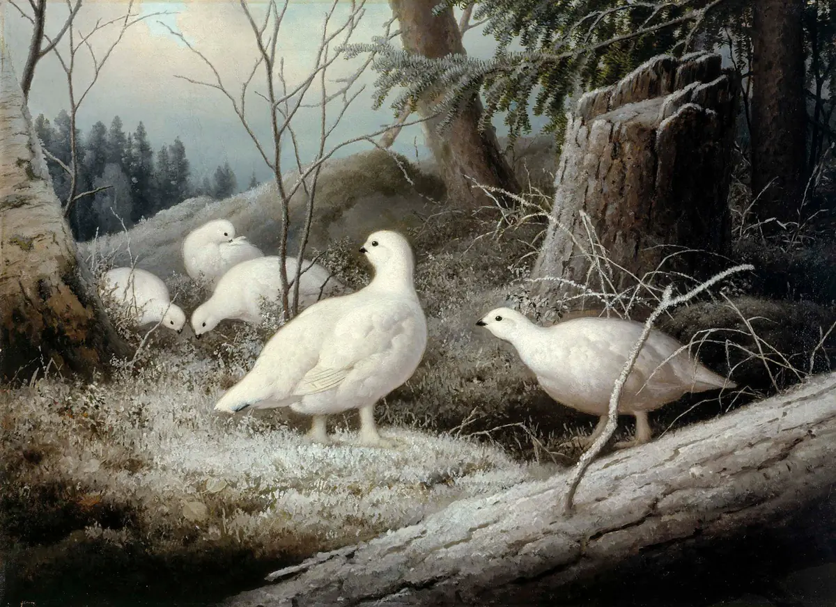 Lagopèdes - Ferdinand von Wright