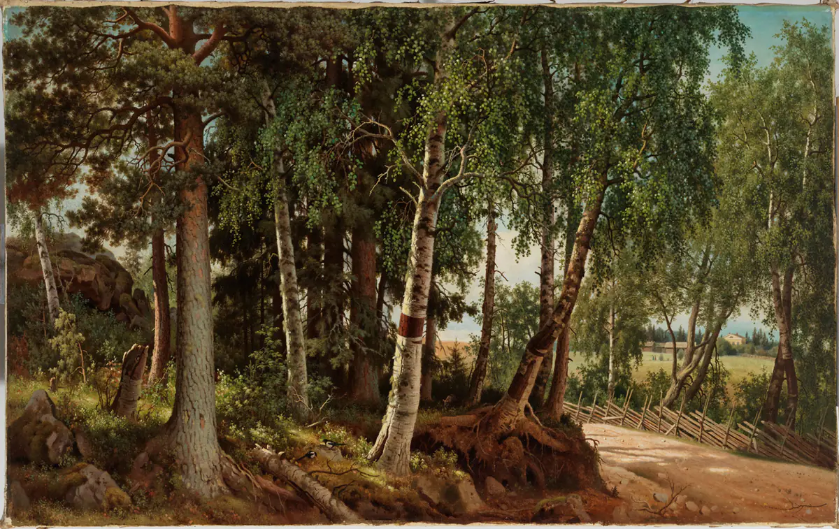 Paysage forestier de Haminalahti - Ferdinand von Wright