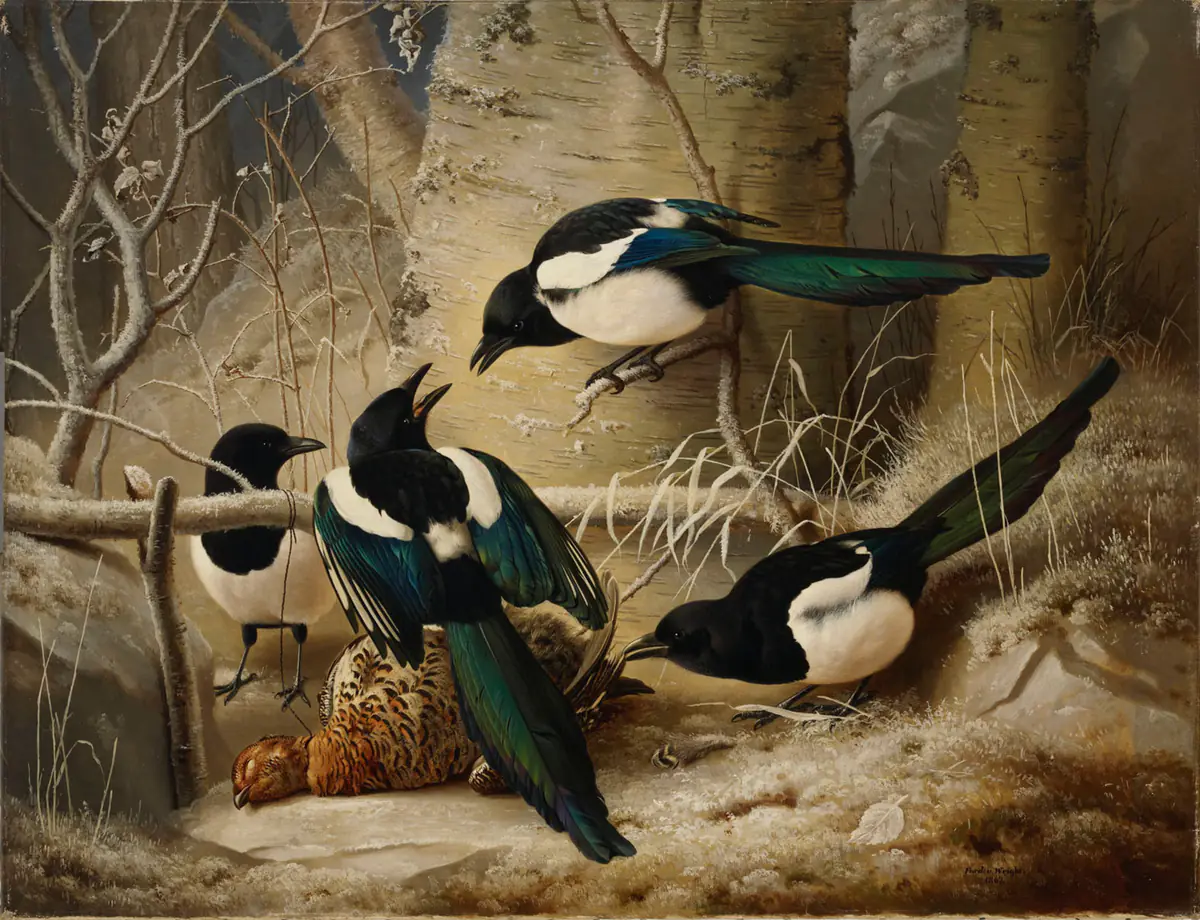 Pies autour d'un tétras mort - Ferdinand von Wright