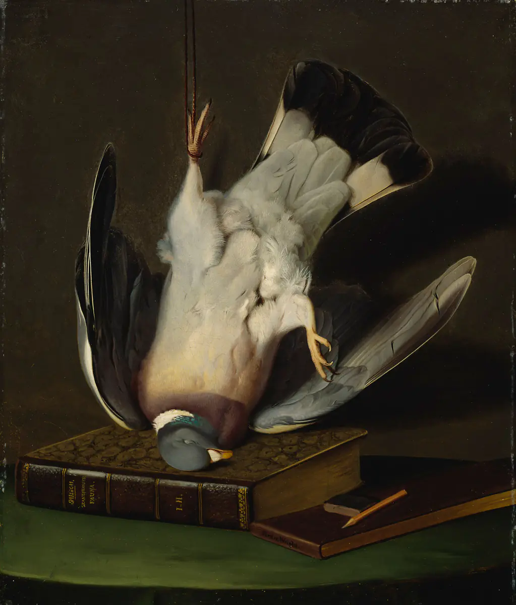 Un pigeon ramier mort - Ferdinand von Wright