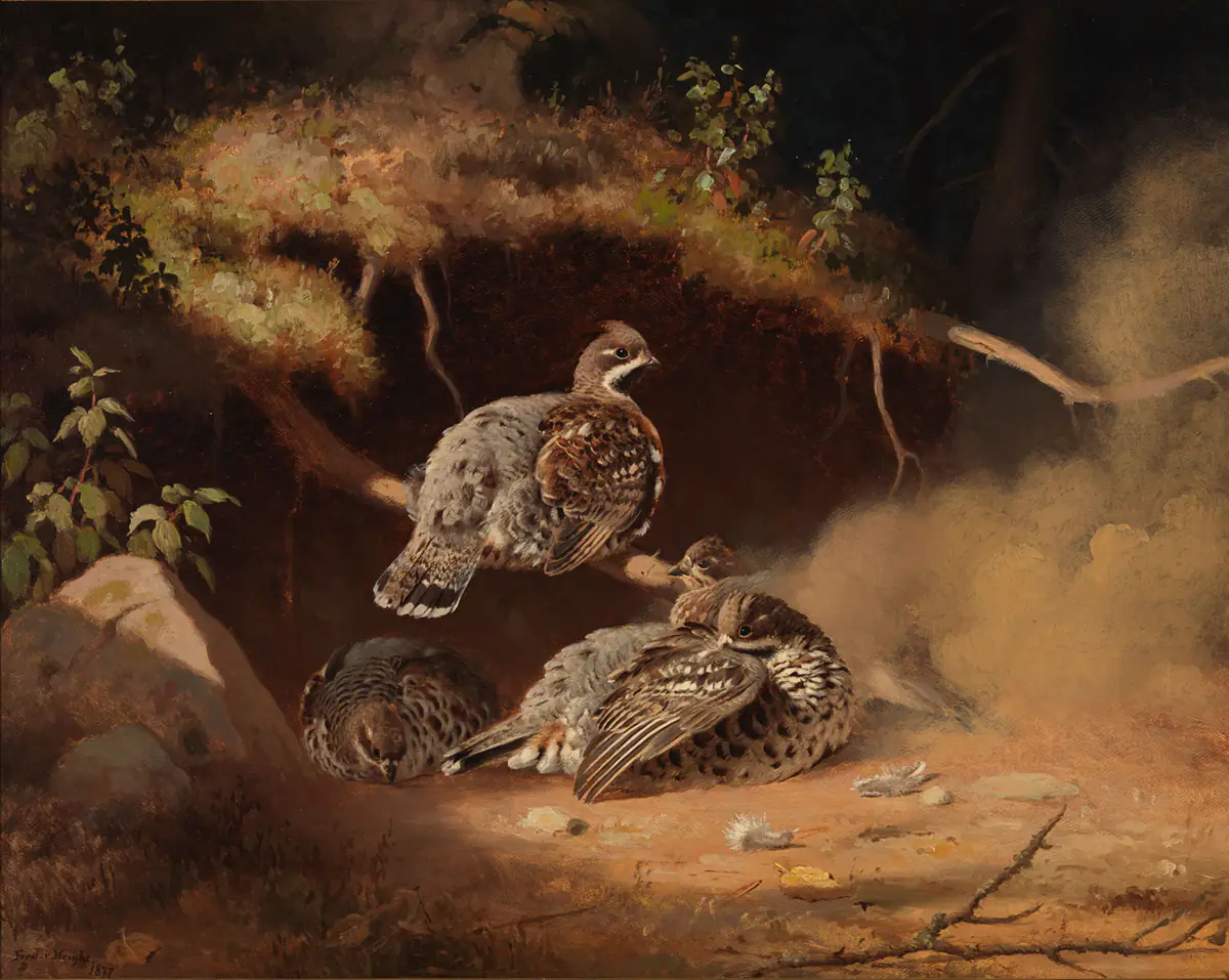 S'en tenir au pli - Ferdinand von Wright