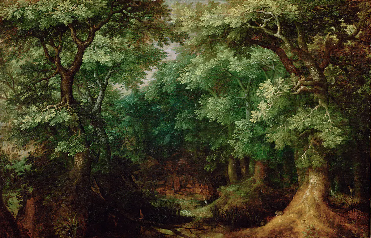 Paysage boisé - Gillis van Coninxloo
