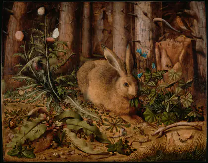 Un lièvre dans la forêt - Hans Hoffmann