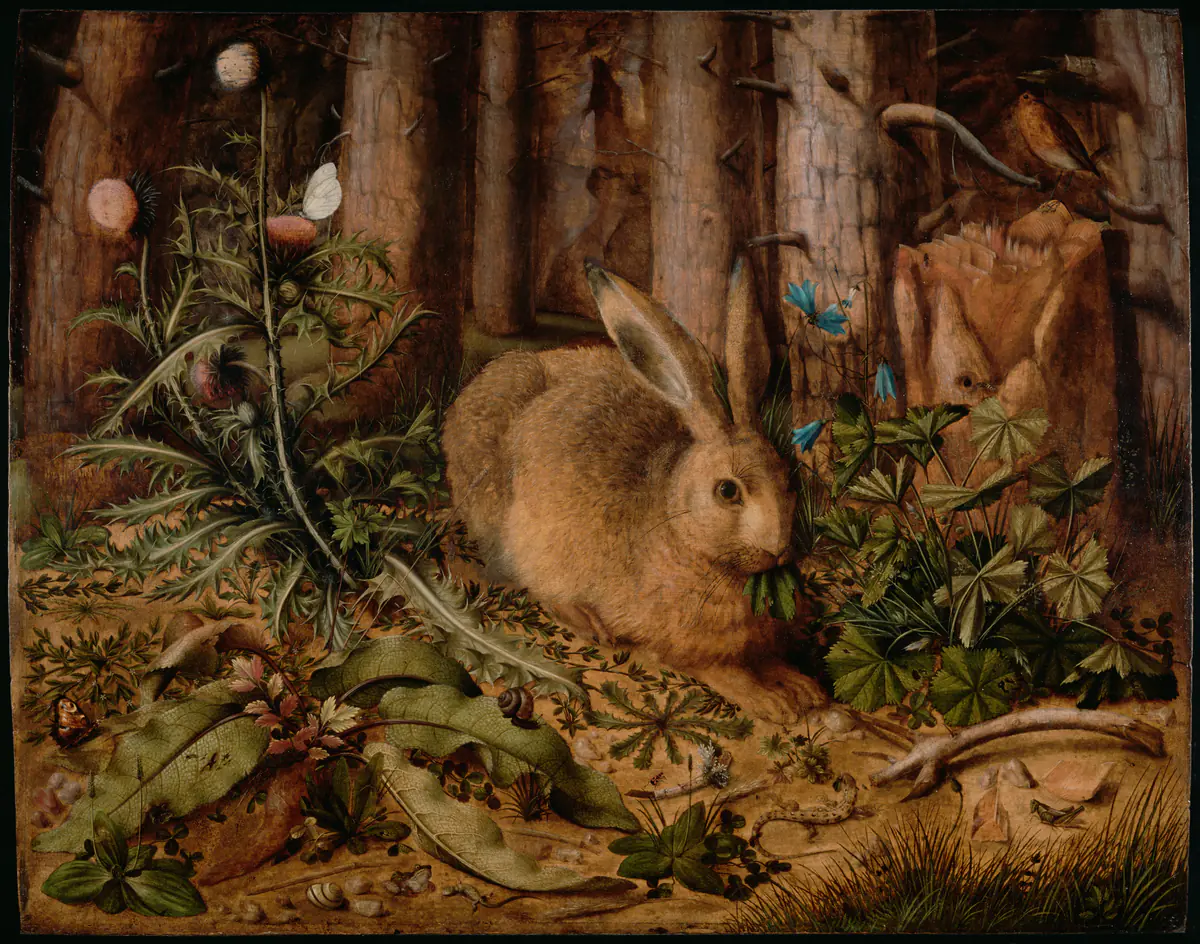 Un lièvre dans la forêt - Hans Hoffmann