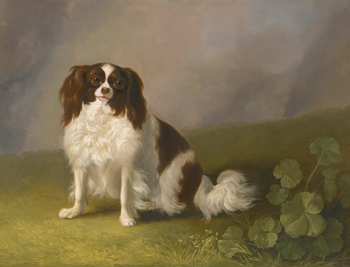 Portrait d'un King Charles Spaniel dans un paysage - Jacob Philipp Hackert
