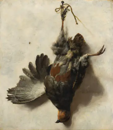 Perdix pendue à un clou - Jan Baptist Weenix