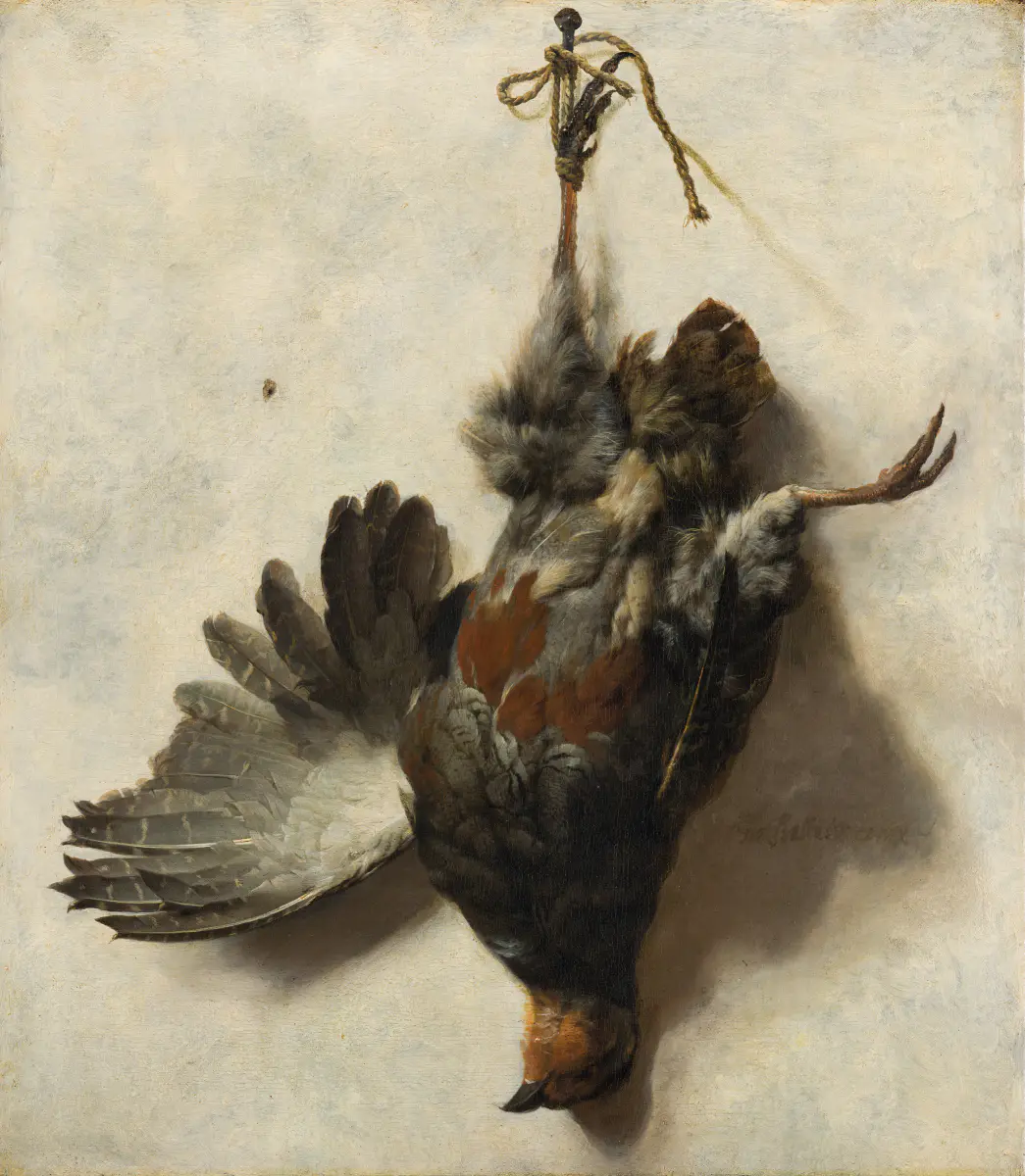 Perdix pendue à un clou - Jan Baptist Weenix