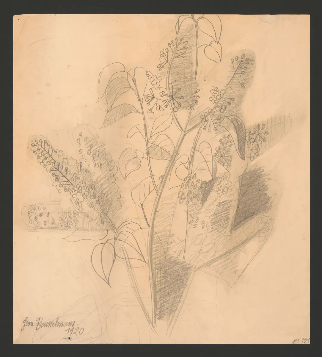 Fleurs - Jean Brusselmans