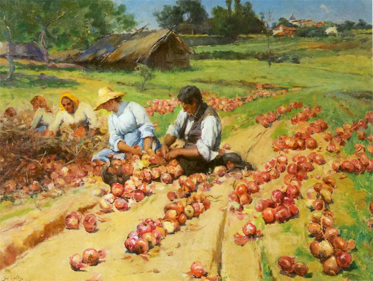 Oignons d'embrayage - José Malhoa